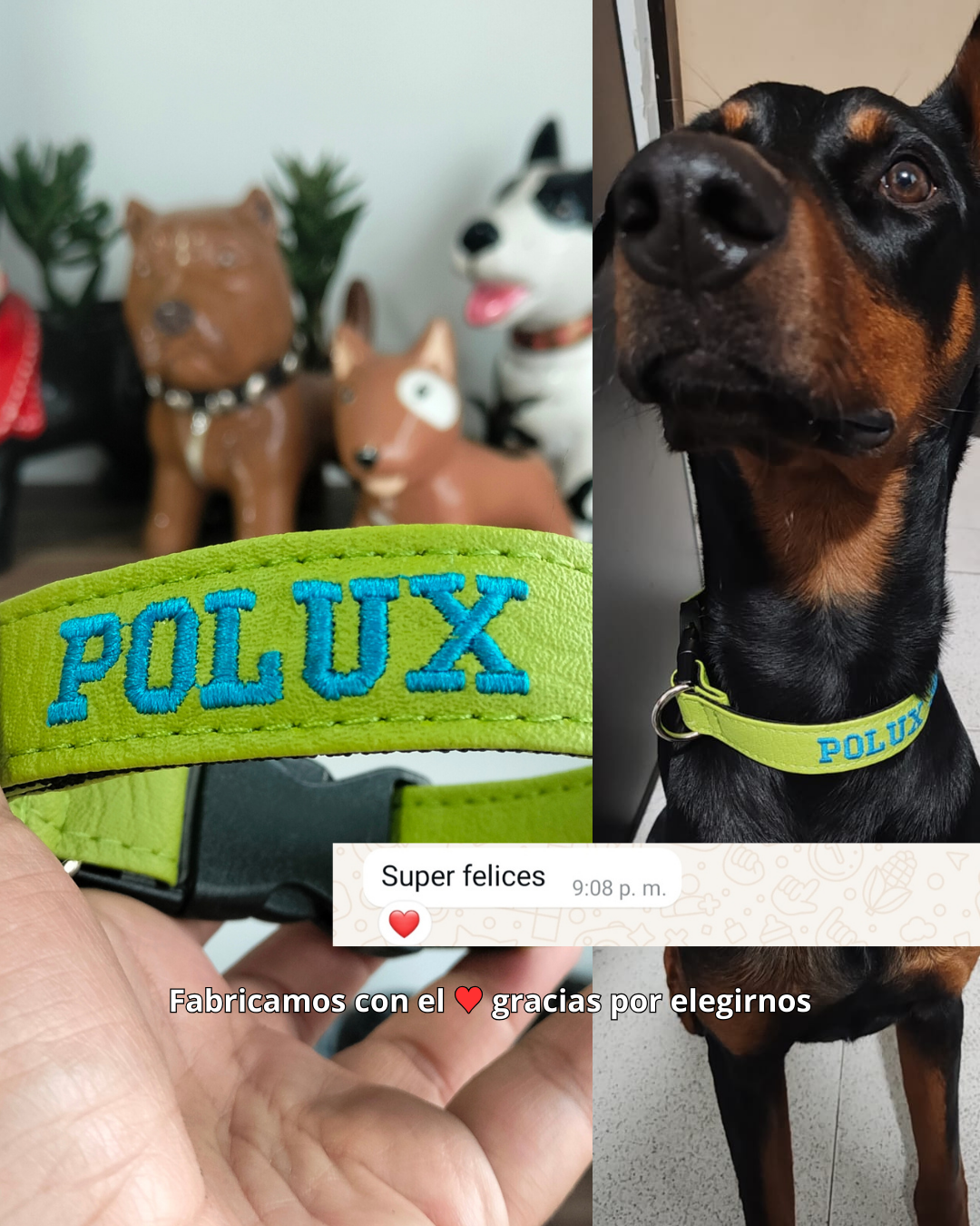 testimonio collar